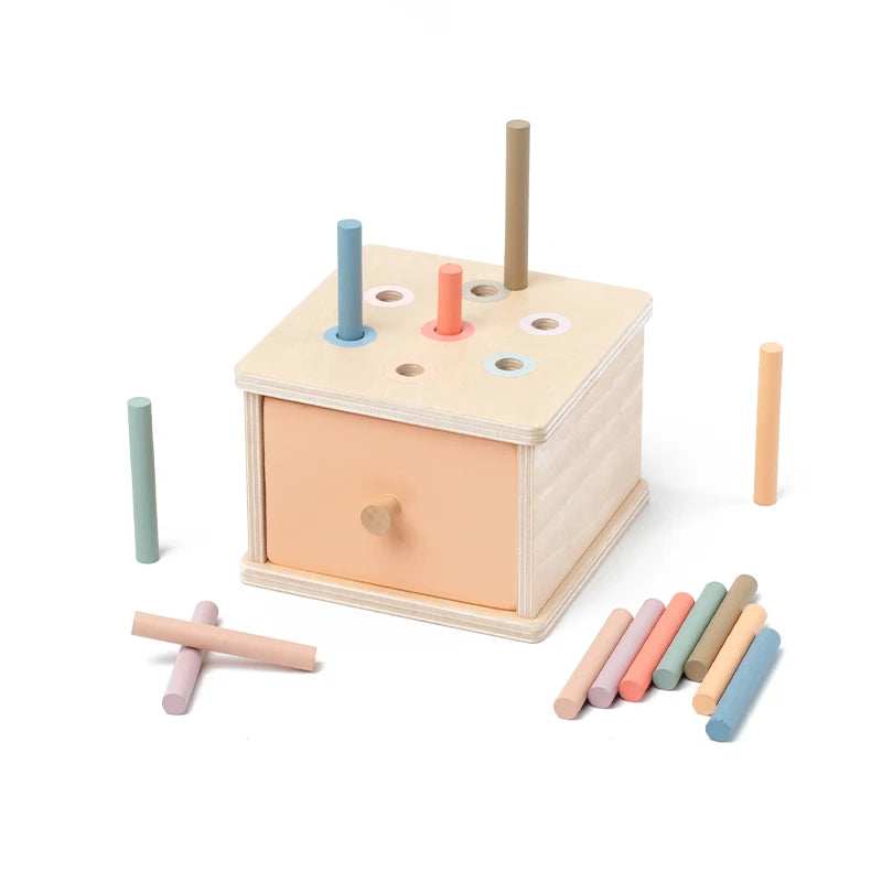 Montessori Wooden Shape Sorter