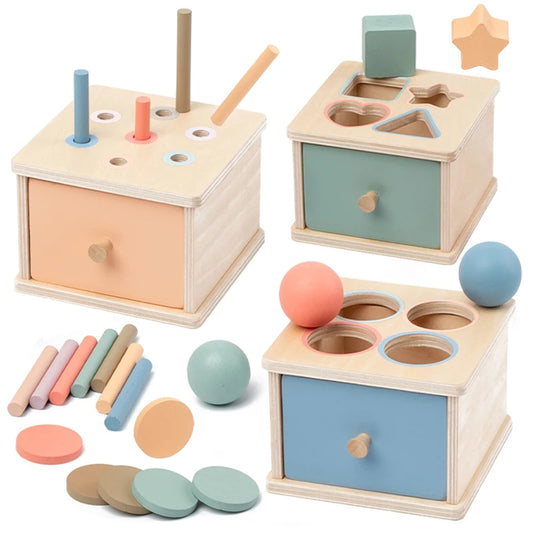 Montessori Wooden Shape Sorter