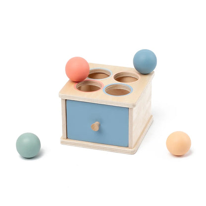 Montessori Wooden Shape Sorter