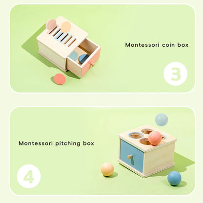 Montessori Wooden Shape Sorter