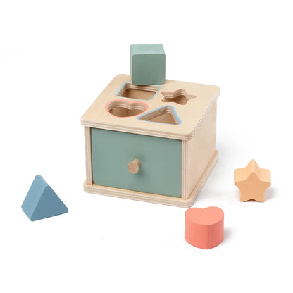 Montessori Wooden Shape Sorter