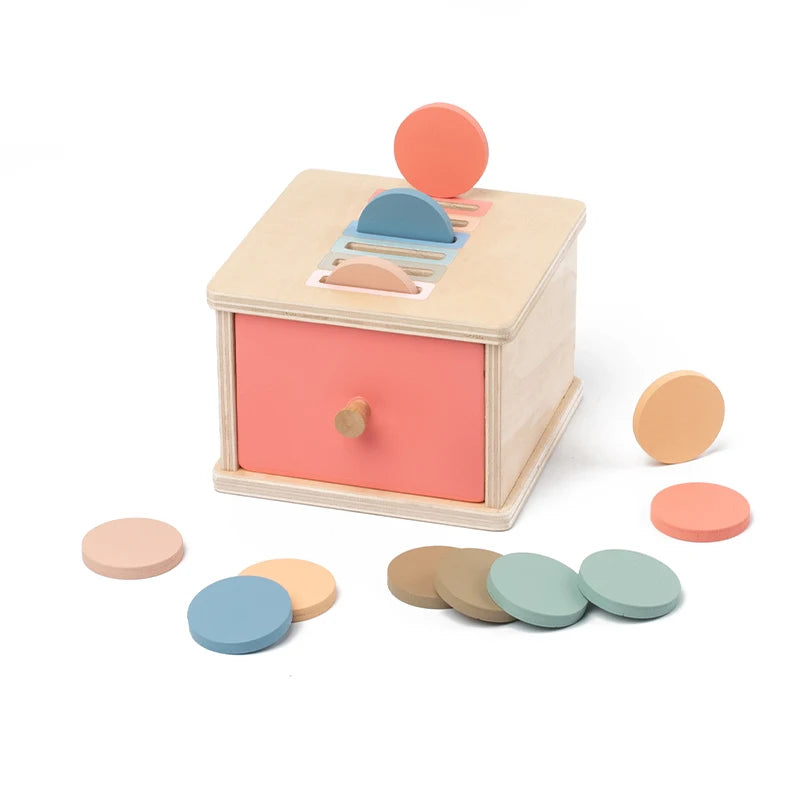 Montessori Wooden Shape Sorter