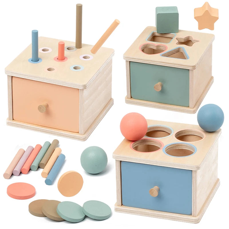 Montessori Wooden Shape Sorter